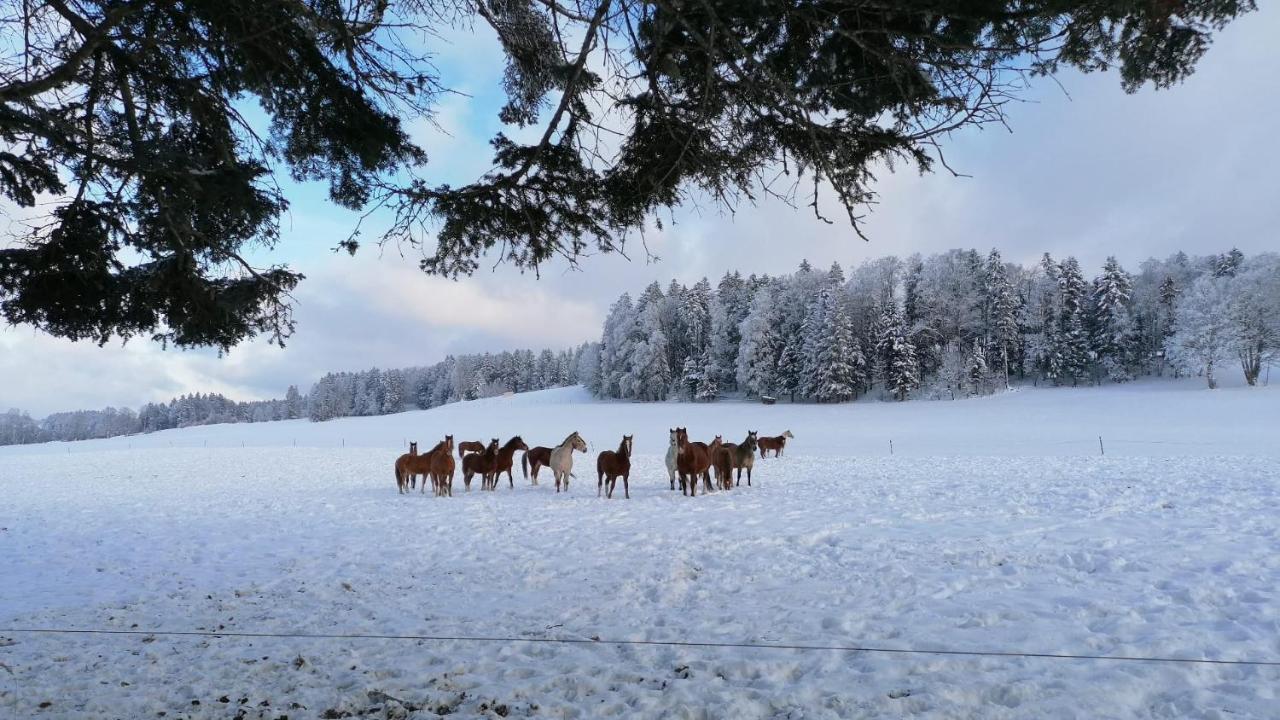 Gite Rural 1666 Saignelégier 외부 사진